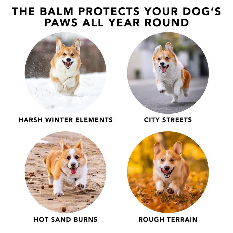 Pride and Groom The Balm – Creamy, Non-Greasy Balm for Dogs & Cats Made from Clean Ingredients, Shea Butter, Essential Oils & Vitamins to Moisturize & Heal Paws, Noses, Dry Patches, & More – 2.5 oz - PawsPlanet Australia