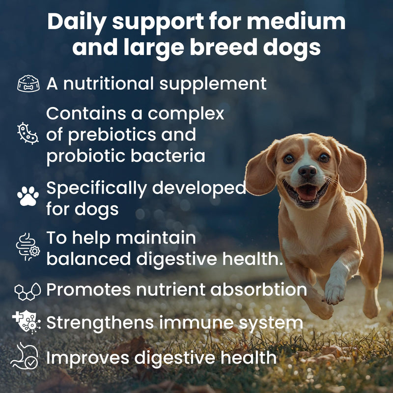Bio PetActive Synbioflora | Probiotics&Prebiotics for Medium and Large Breed Dogs | Support Digestion,Gut and Stomach Health | Helps with Diarrhea,Gas and Constipation Relief | 60 Chews