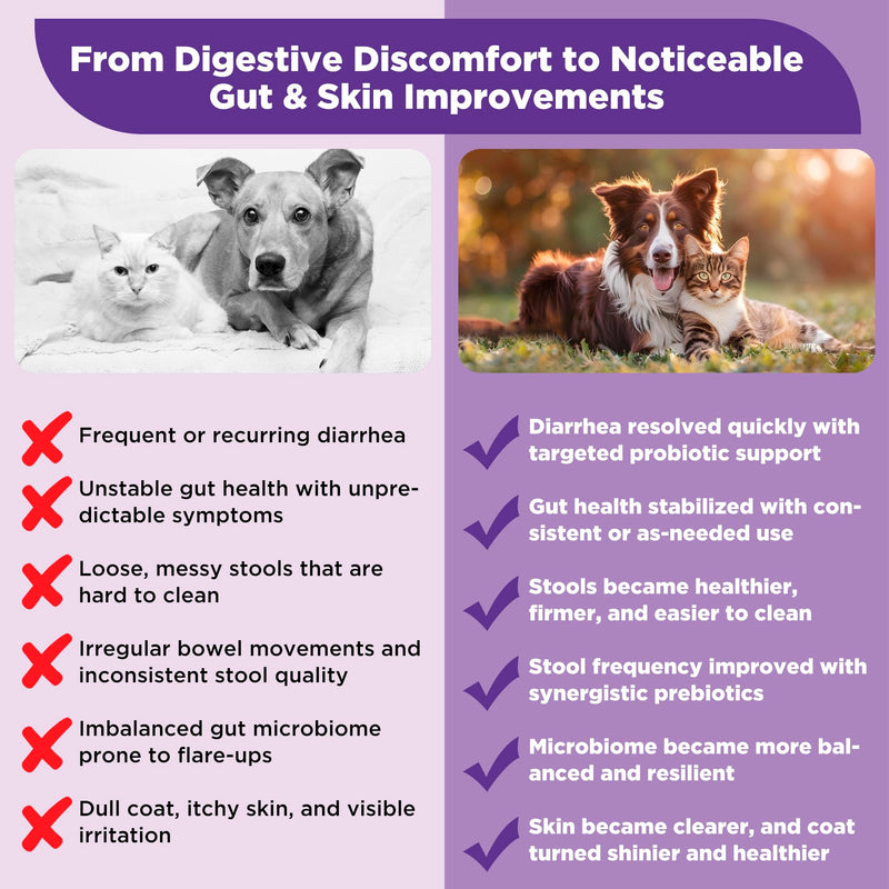 S.boulardii + FOS Pet Probiotic Powder for Dogs & Cats, 6.7 Billion CFU, Gut & Immune Support, Loose Stool & Digestive Upset Relief, Improves Stool Consistency, Skin Health, Veterinarian Recommended