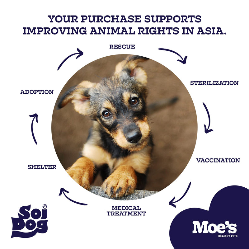Moe’s Skin & Coat Omega 3, 6, 9 and Vitamin Supplement for Dogs- Supports Dryness, Itch Relief, & Thick, Shiny Coats- Premium Wild Alaskan Salmon Oil- For All Ages and Breeds- 90 Salmon Flavored Chews - PawsPlanet Australia