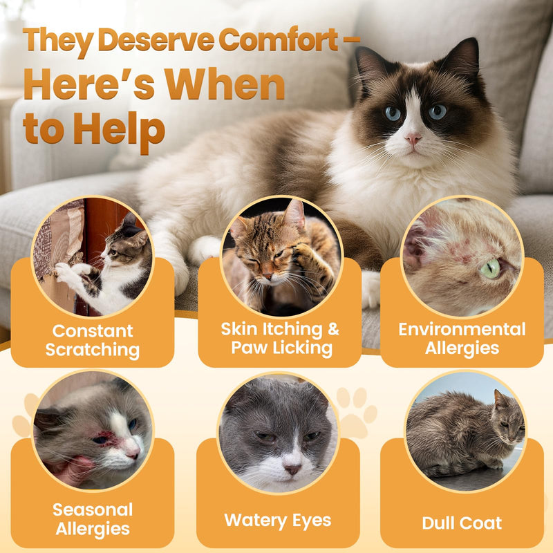 Cat Allergy Relief Chews for Cats, 500 Crunchy & Creamy Treats, Supports Itchy Skin, Paw Licking, Sneezing & Watery Eyes, Omega-3 Fish Oil + Probiotics, Immune Skin & Coat Support(90-Day Supply)