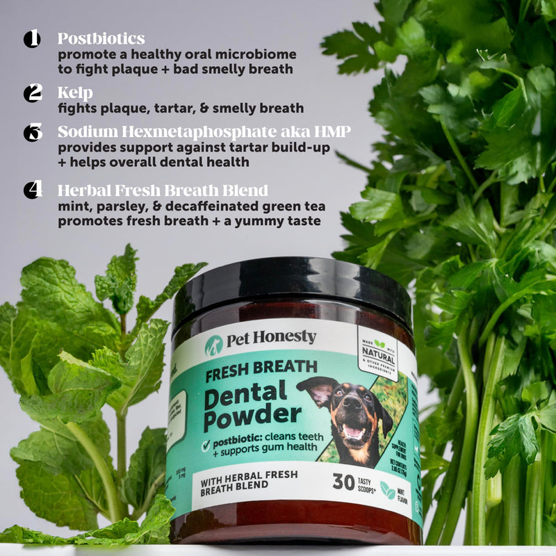 Pet Honesty Dog Dental Care Virtual Bundle – Breath Freshener Dental Powder (30 Servings) + Brush Buddies Dental Sticks for Medium Dogs (15 Ct) – Teeth Cleaning, Plaque & Breath Support
