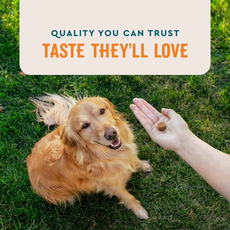 VetIQ Skin and Coat Supplement for Dogs, Helps Maintain Healthy Skin and Shiny Coat, Hickory Smoke Flavor Dog Chew, Made in The USA, 90 Count