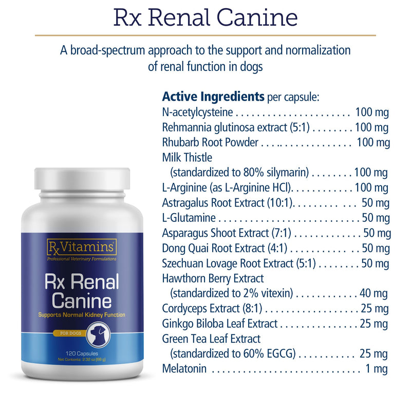 Rx Vitamins Rx Renal Canine Kidney Support for Dogs - Milk Thistle Extract, Green Tea, & Cordyceps Capsules for Dogs - Dog Kidney Support Supplement - 120 ct New Label