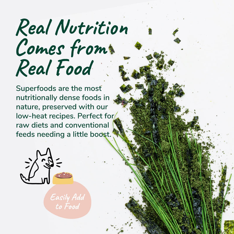 kin+kind Organic Multivitamin for Dogs & Cats - Vitamins and Supplements for Healthy Skin and Coat - Natural Formula with Wheatgrass, Kelp, Flax Seed, Seaweed and Coconut - Large 8 oz - Made in USA 8 oz (Pack of 1) - PawsPlanet Australia