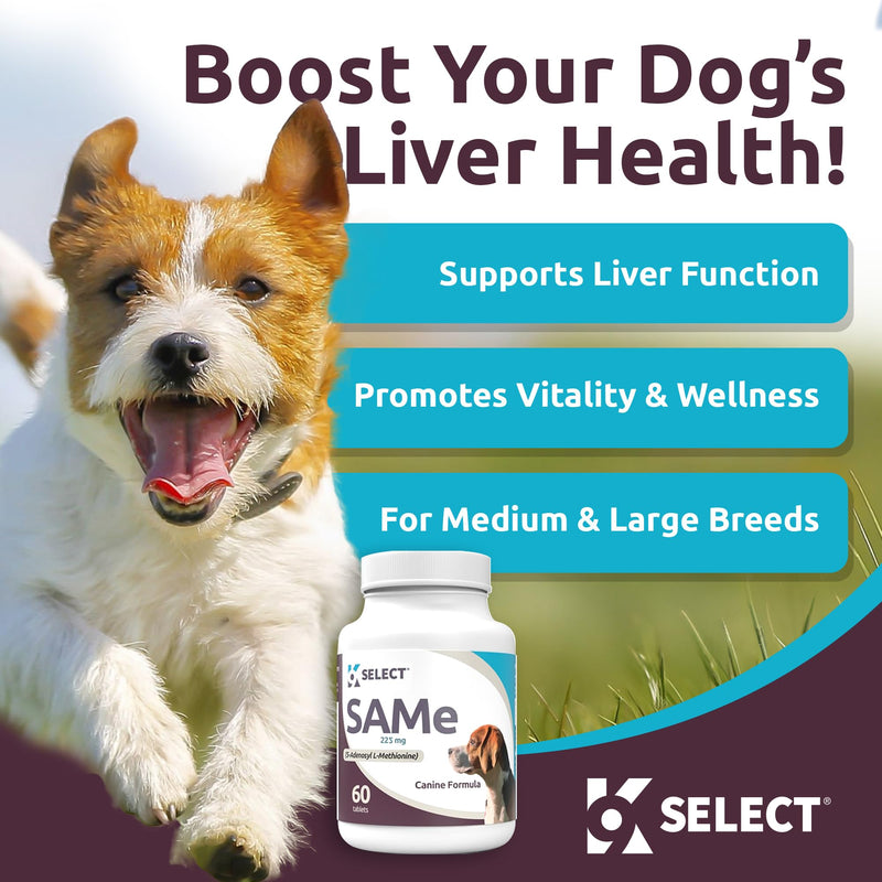 K9 Select SAM-e for Dogs: 225mg, 60 Tablets Active S-Adenosyl-L-Methionine Liver Supplement - Cognitive and Joint Health Nutrition for Medium and Large Dogs - Same Dog Liver Nutritional Supplement - PawsPlanet Australia