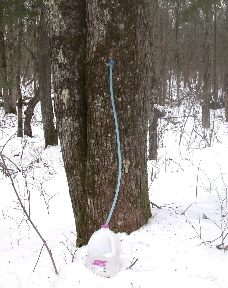 Maple Syrup Sap Tapping Kit (5 Pack) - 5/16" Ecolo taps + 36" Drop Lines + 5/16" Drill Bit + Quick Start Guide to Maple Tapping Booklet