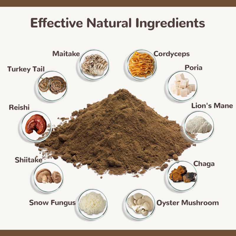36g Turkey Tail Mushroom for Dogs and 150PCS Dog Teeth Cleaning Chews