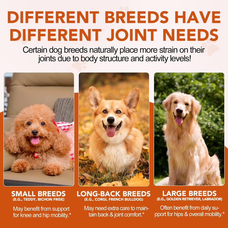 Joint Supplement for Dogs | Dog Joint Care with Glucosamine, Chondroitin, MSM, Green Lipped Mussel, Vitamins C & E, Hip & Joint Support for Senior Dogs, 150 Chews for All Breeds & Sizes(Duck Flavour)