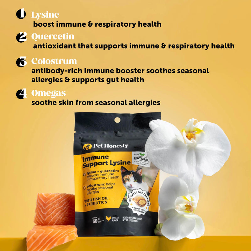 Cat Multivitamins + Immune Support Lysine Dual Texture Chew Supplement Bundle - Supports Overall Immune Health, Joints, Skin & Coat, and Cat Allergy Relief - Sneezing, Runny Nose