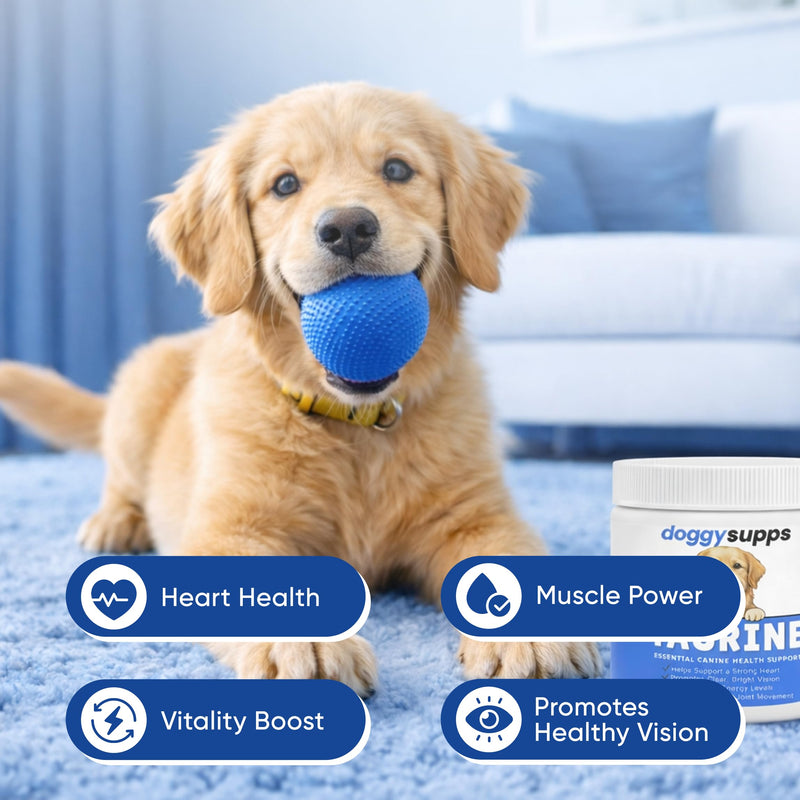 Doggy Supps Taurine for Dogs, Taurine Supplement for Dogs, Immune Support, Boost Energy & Vitality, Skin & Coat Health for Heart, Vision & Daily Wellness, 200 Grams (1) 1