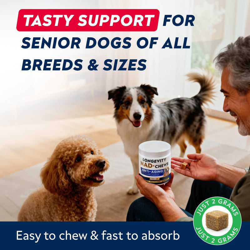 STRELLALAB NMN Supplement | NAD+ Booster for Dogs - Longevity - Quercetin, Resveratrol - Energy Boost for Senior Dogs, Canine Cognitive Supplement for Brain Health - Anti Aging Support Chews - 90Ct Peanut Butter