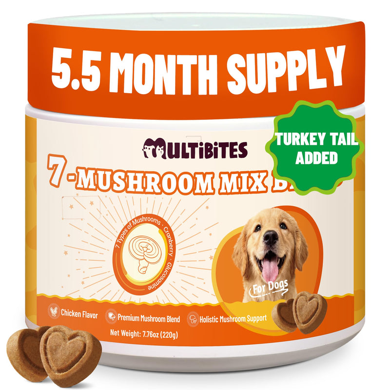 Mushroom Supplement for Dogs - Supports Antioxidant & Immune Defense, Gut, Skin, Joint & Urinary Tract Health, 7-Mushroom Complex (Turkey Tail, Lion's Mane, Reishi & 4 Others) – 330 Chews