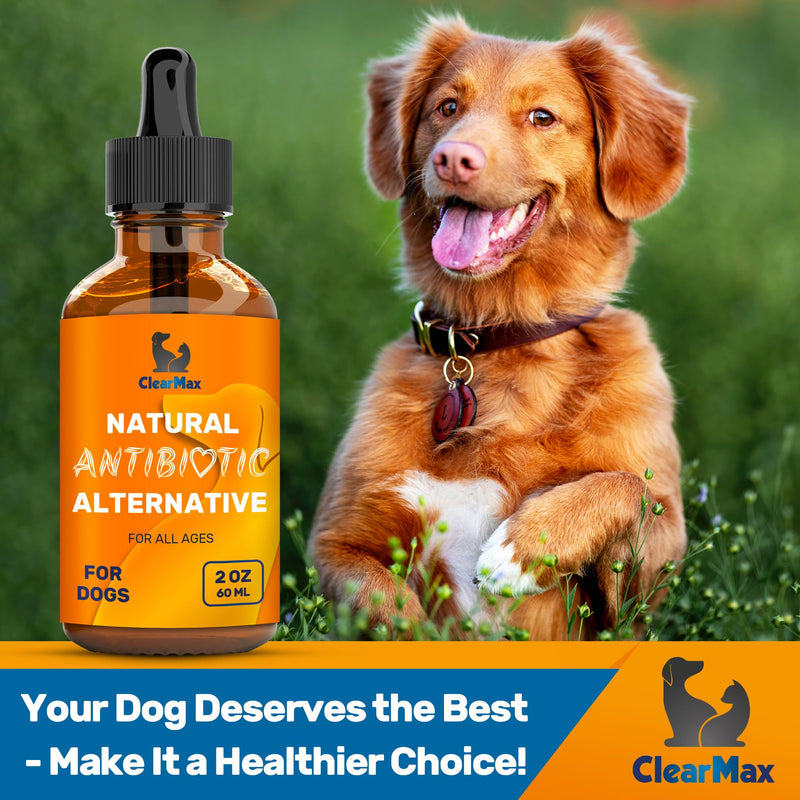 Natural Supplements for Dogs and Cats – Dog Natural Supplement – Bundle - PawsPlanet Australia