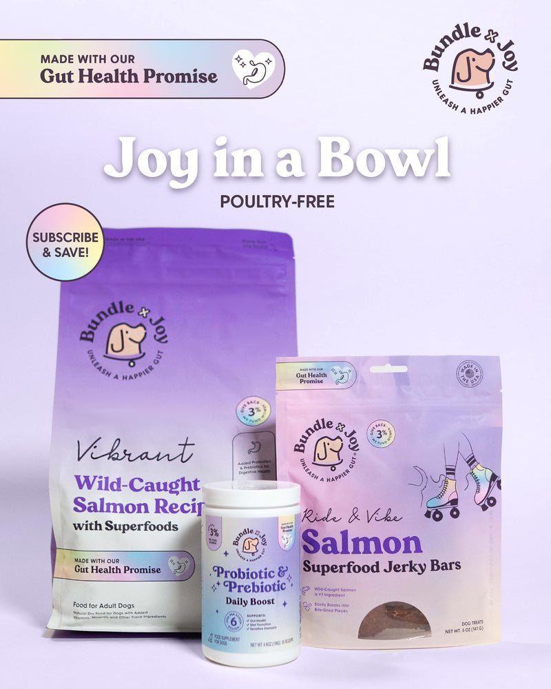 Bundle x Joy Daily Prebiotic & Probiotics for Dogs Boost - Gut Health Immune Formula with Beef Bone Broth for Dogs, 6 Billion CFU Dog Supplements, 35 Scoops, 4.8 oz - Made in USA