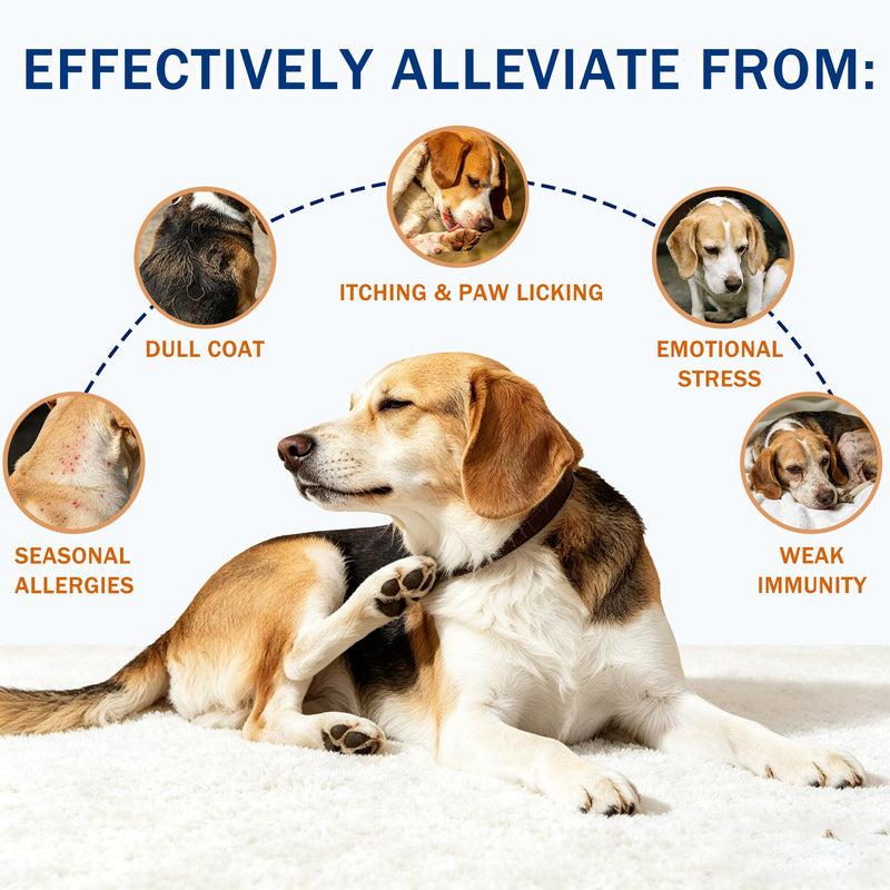 Dog Allergy Chews, Allergy Immune Support for Dogs, Seasonal Allergies Support, Dog Itching Skin Hot Spots Help Relief with Probiotics Turmeric Colostrum Omega-3, Chicken Flavor, 100Ct 100 count
