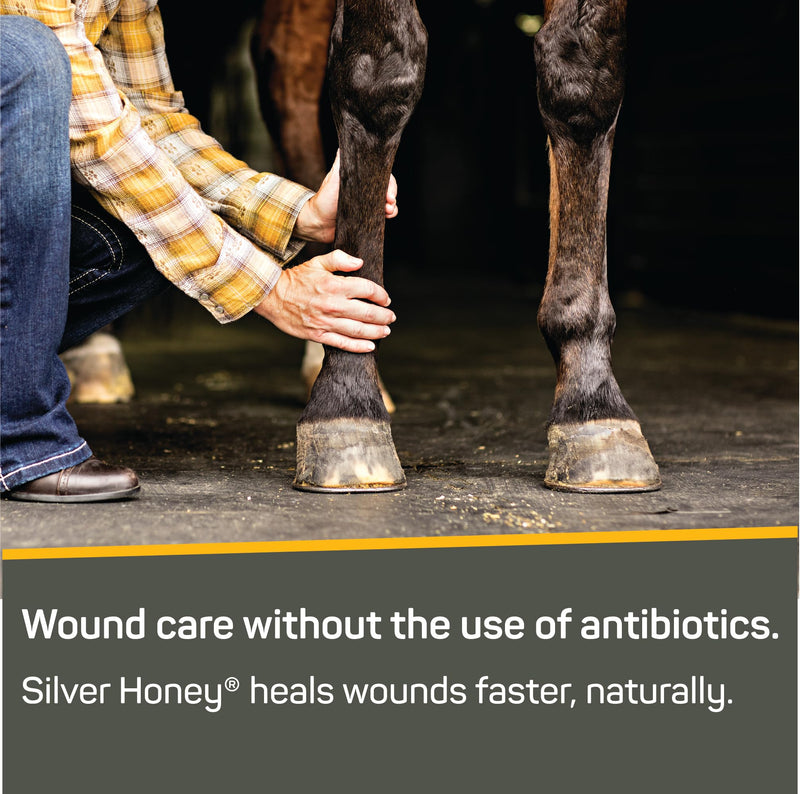 Absorbine Silver Honey Rapid Wound Repair Spray Gel 8oz Bottle, Medical Grade Manuka Honey & MicroSilver BG 8 oz - PawsPlanet Australia