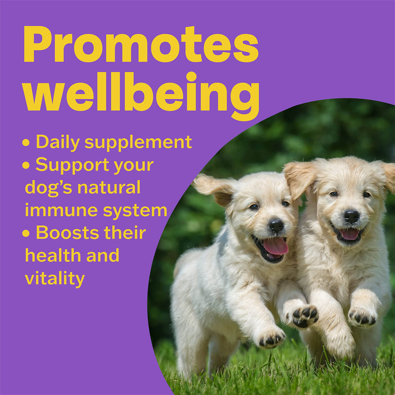 Bob Martin | Delicious Conditioning Tablets for Dogs, Rich in Vitamins | Supports Healthy Immune System | Nutritional Savoury Treat (100 Tablets) - PawsPlanet Australia