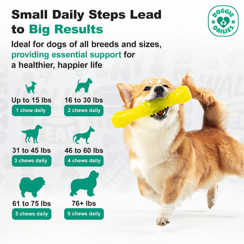 Doggie Dailies, Hip and Joint Supplement for Dogs, Glucosamine Chondroitin, Premium Hip and Joint Chews for Dogs All Breeds & Sizes, Dog Vitamins and Supplements, (Peanut Butter) 225 Chews Peanut Butter - 225 Count