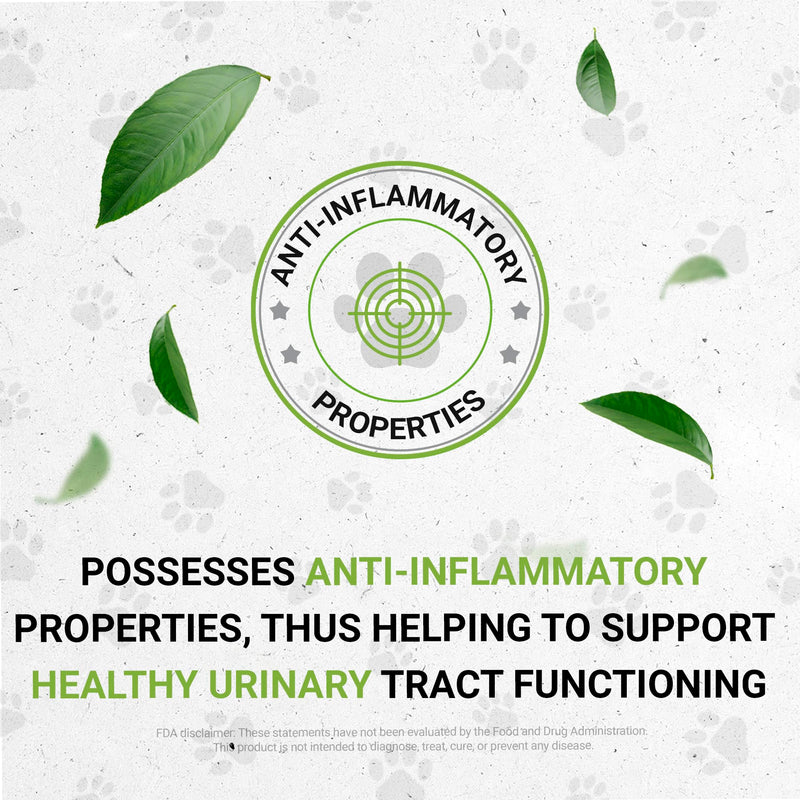 Lion's Urinary | Natural Herbal Dietary Supplement for Cats | Healthy Urinary System Support in Cats | Alcohol-Free Extract, Dandelion Root, Calendula, Linden, Chamomile, Fennel 2 oz