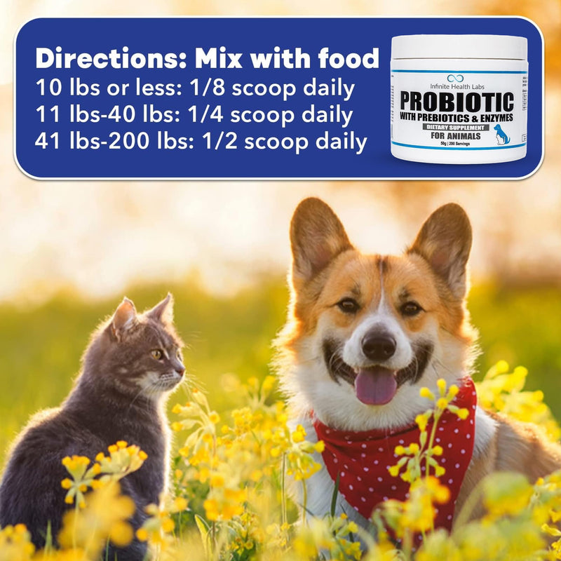 Probiotics for Dogs and Cats - Vet Formulated Made in USA Pet Prebiotic & Enzyme Powder for Digestive, Gut & Immune Health - 200 Servings (50 g) 50 g