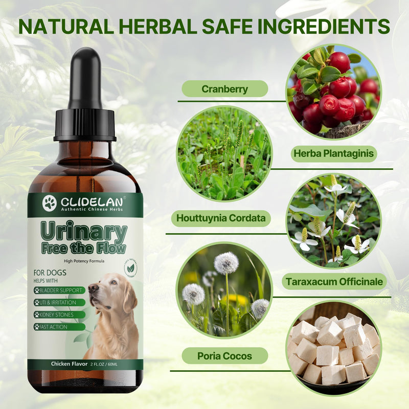 Bladder & Kidney Stones Dissolver for Dogs – Helps with Stone and Crystals Fragment Flush & Prevention – Natural Dog UTI Treatment, Herbal Vet-Formulated, Dog Urinary Tract Infection Treatment