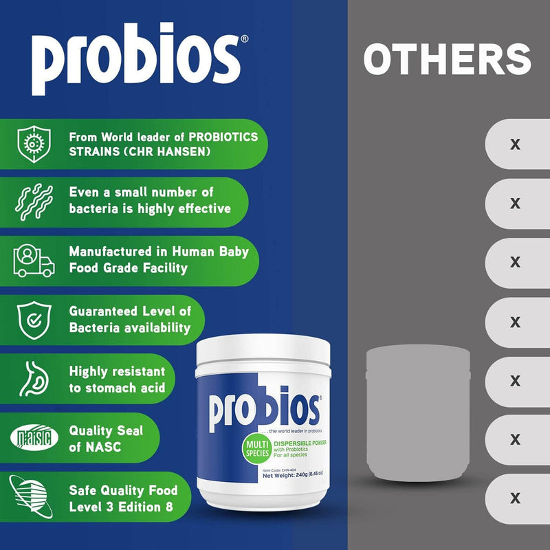 Probios Dispersable Powder - Probios Powder, Pet Probiotic, Probiotics for Swine, Equine, Sheep, Goat, Dog, Cat, Bird, Rabbit, Foals (240 gm) 8.46 Ounce (Pack of 1) - PawsPlanet Australia