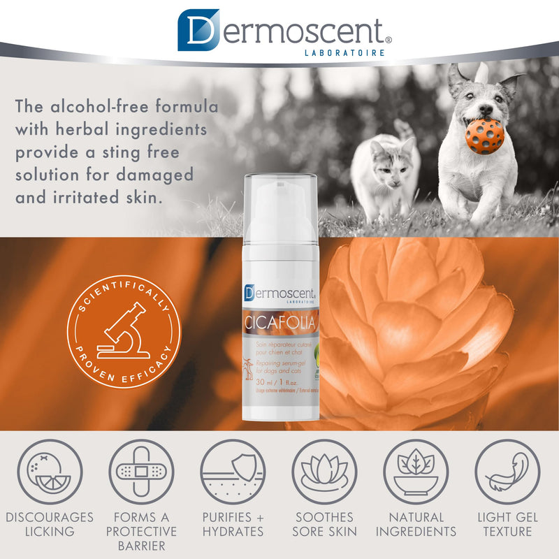 Cicafolia Skin Repair Gel-Serum for Dogs and Cats | Natural Skin Healing Solution | 30 ML