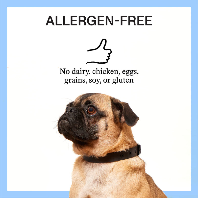 Spot & Tango Allergy + Immune Supplement for Dogs - Vet-Approved For Itchy Skin & Allergy Relief - Wild Alaskan Salmon Oil, Omega-3, Primrose Oil, Biotin - Real Strawberry & Blueberry Flavor, 56 Count - PawsPlanet Australia