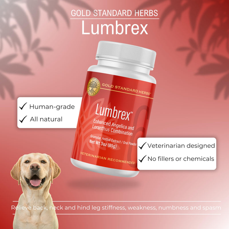 Lumbrex Joint Pain and Stiffness Relief for Dogs by Gold Standard Herbs, All Natural Angelica Root and Loranthus, 85 gram powder, White 85 g - PawsPlanet Australia