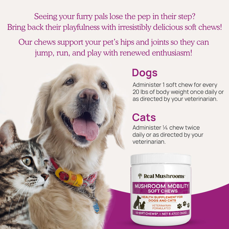 Real Mushrooms Mobility Chews - Hip and Joint Supplement for Dogs and Cats - Green Lipped Mussel Powder and Organic Ergo Gold Vitamins for Flexibility, Mobility, Hip and Joint Support (240 ct) - PawsPlanet Australia