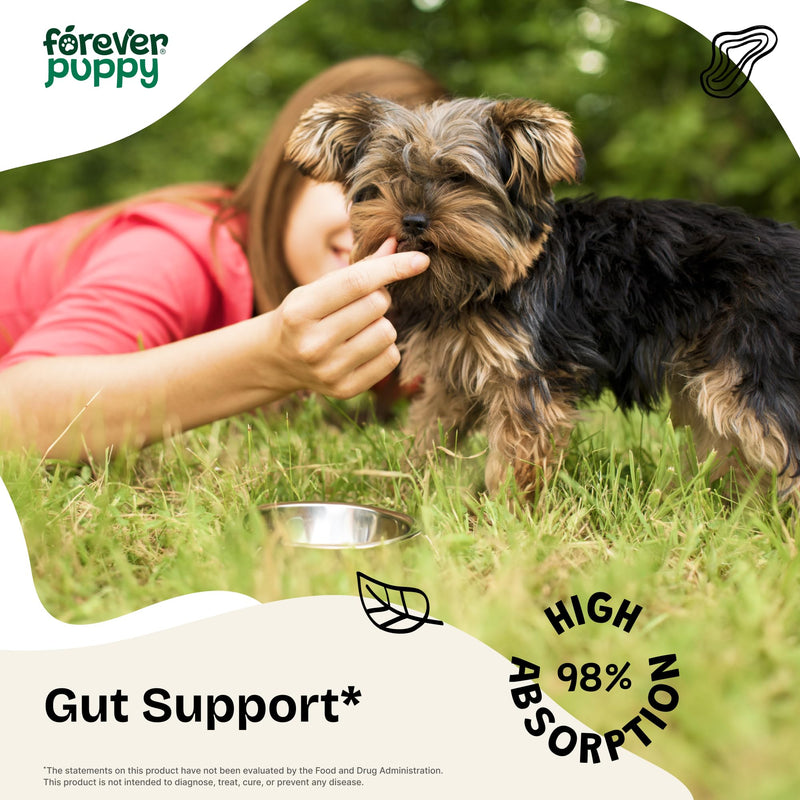 Forever Puppy Slippery Elm Tincture for Dogs - Digestive & Gut Support with Slippery Elm Bark Drops - Soluble Fiber for Dogs of All Breeds & Sizes - Liquid Vitamins and Supplements - 2 fl oz