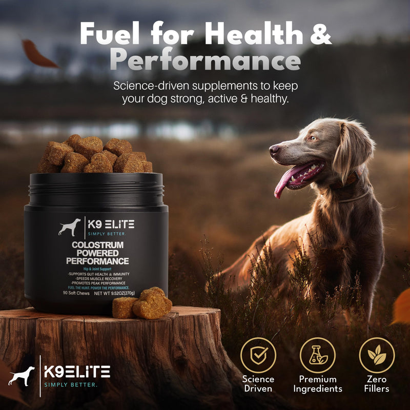 Dog Allergy Relief Chews for Itching Skin – Anti Itch, Gut Health & Immune Support with Colostrum & Omega 3 – Skin & Coat Supplement for Dogs 90 Count