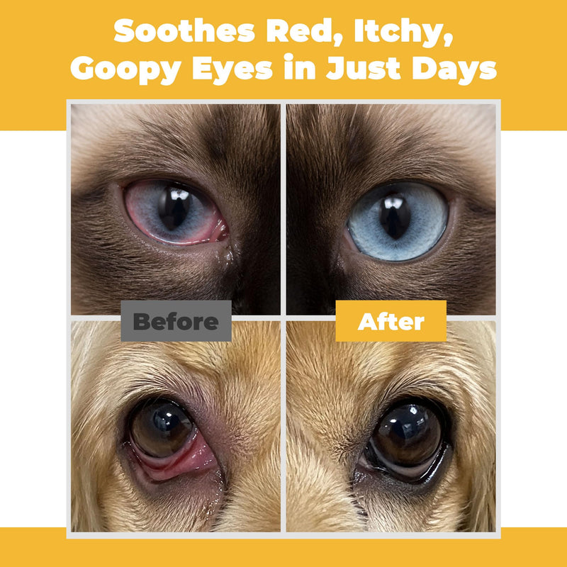 Pet Eye Health for Dogs, Cats, Cattle, Sheep, Horses, Birds, Puppies and Kittens - 3 x 3.5 g Tubes
