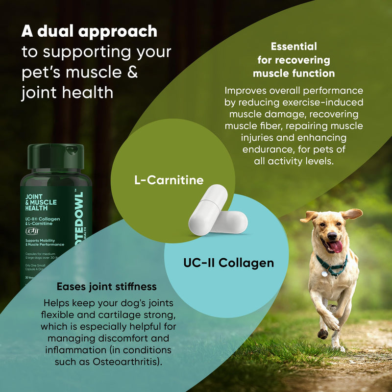 Joint and Muscle Health - Hip and Joint Supplement for Dogs with UC-II Type II Collagen and L-Carnitine - Medium and Large Dog Joint Supplement - 30/ct - PawsPlanet Australia