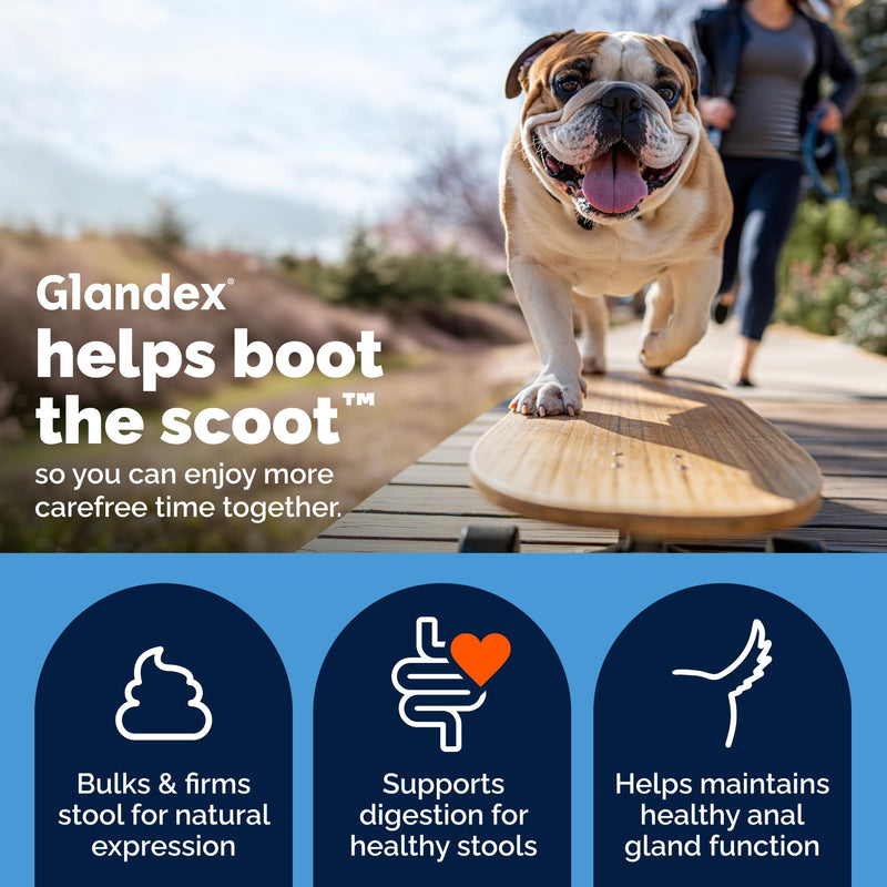 Vetnique Glandex for Dogs Prebiotic & Probiotic Supplement Chews 30 Count Bacon Flavor Plus Glandex Anal Gland Support Chews 60 Count Peanut Butter Flavor Bundle, 5-Strain Probiotics for Dogs