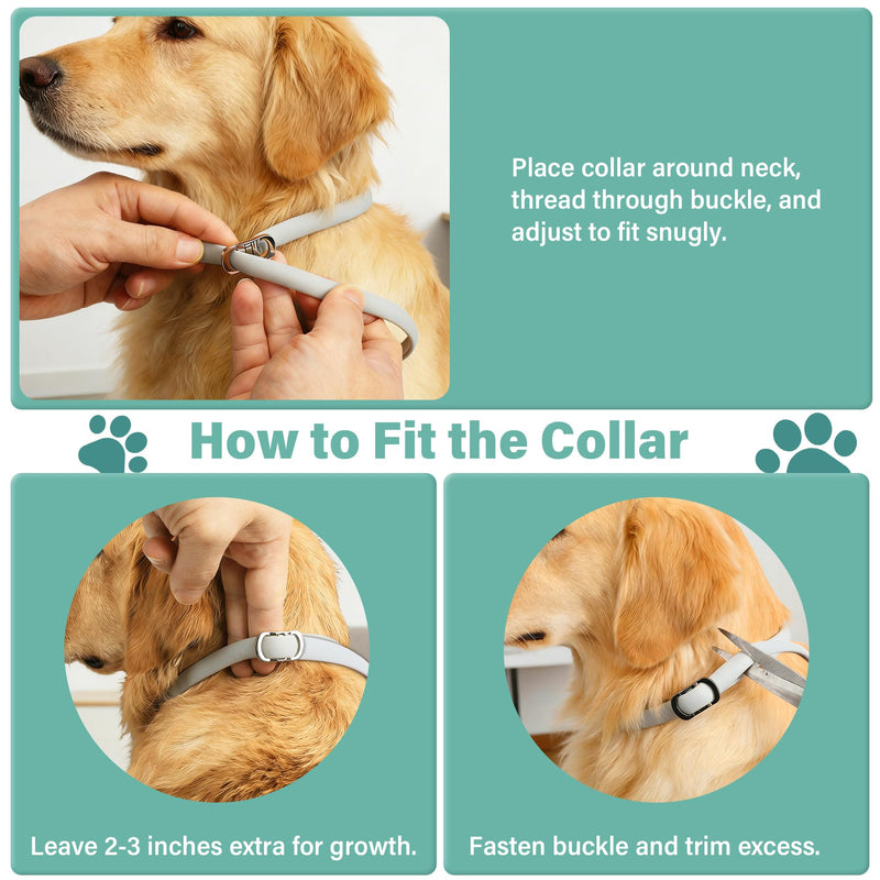 Flea and Tick Collar for Dogs, 6 Pack Natural Flea and Tick Prevention for Dogs in a Waterproof Design with Natural Essential Oils, Adjustable Multi-Pest Repellent Collar for All Dog Sizes