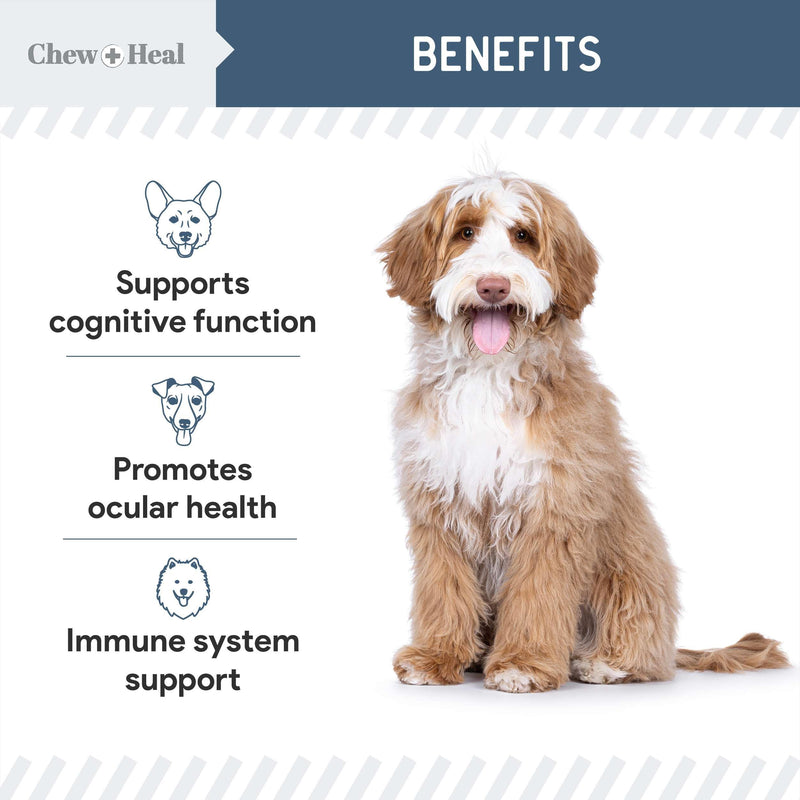 Chew + Heal Labs Senior Dog Vision and Cognition Chews - 60 Soft Chews for Dog Eye Care and Memory - 7-in-1 Multivitamin with Omega Fatty Acids, Vitamins, and Botanicals - Made in the USA 60 Count