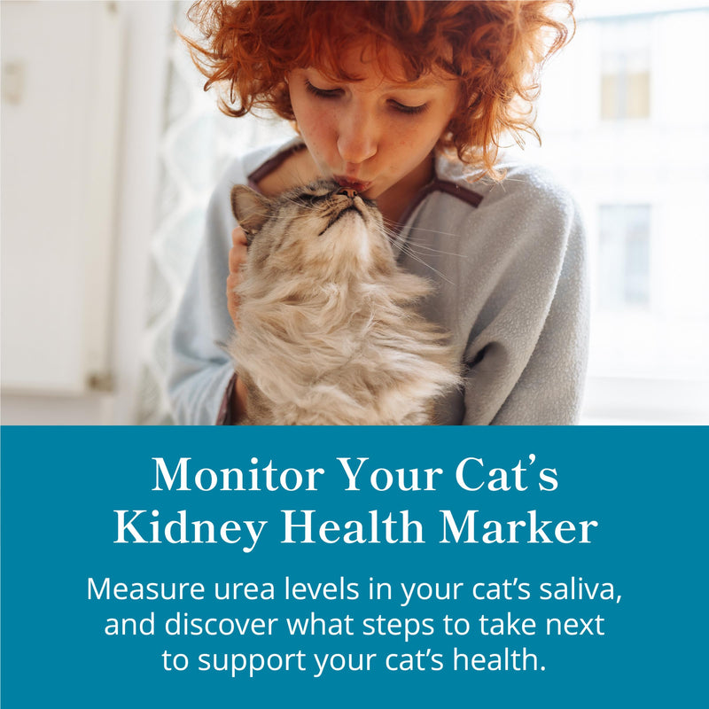 Petivity At-Home Kidney Health Test Kit for Cats, Powered by Purina - (Pack of 1) 1 Ounce (Pack of 1)
