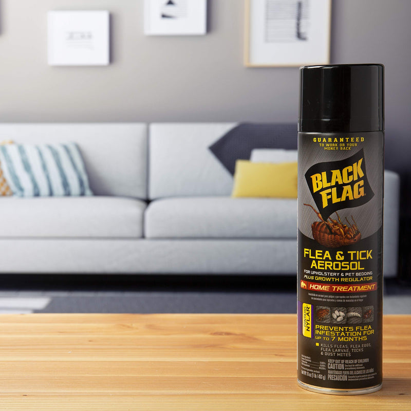Black Flag Flea & Tick Killer for Upholstery & Pet Bedding Aerosol, 16-Ounce 16 Fl Oz (Pack of 1)