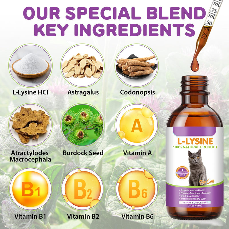 L-Lysine Drops for Cats, Lysine Supplement for Cats, Support Immune System, Respiratory Health & Eyes Function, Skin & Coat Health, Pets Health Supplies Cat Multivitamins, Chicken Flavor - 2 fl.oz