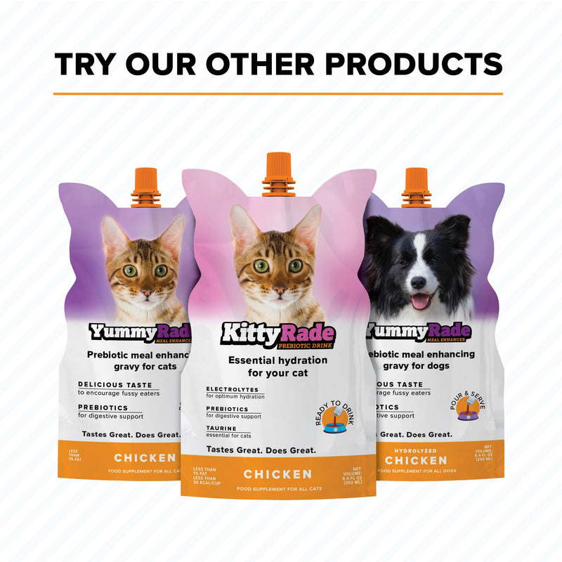 DoggyRade – Dog Sports Drink (Prebiotic, Isotonic Drink for Dogs) | Electrolytes, Nutrients & Amino Acids | Quick Hydration Drink for Dogs + Low Cal | More Than Just Water! | Chicken Flavor | 3x250ml DoggyRade (250ml x 3)