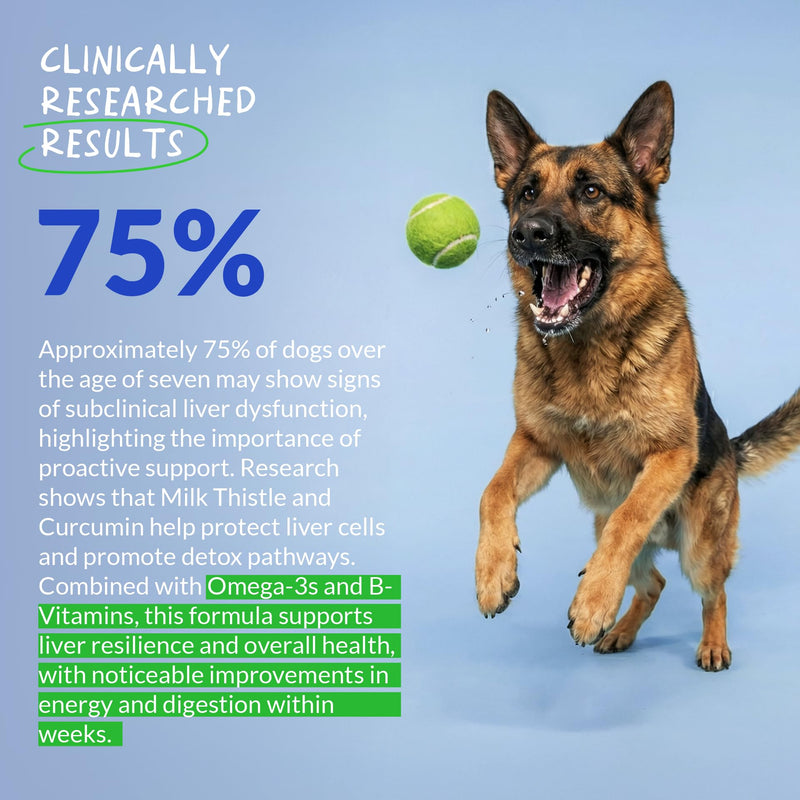 Liver and Kidney Soft Chews for Dogs & Liver and Kidney Support Powder for Cats