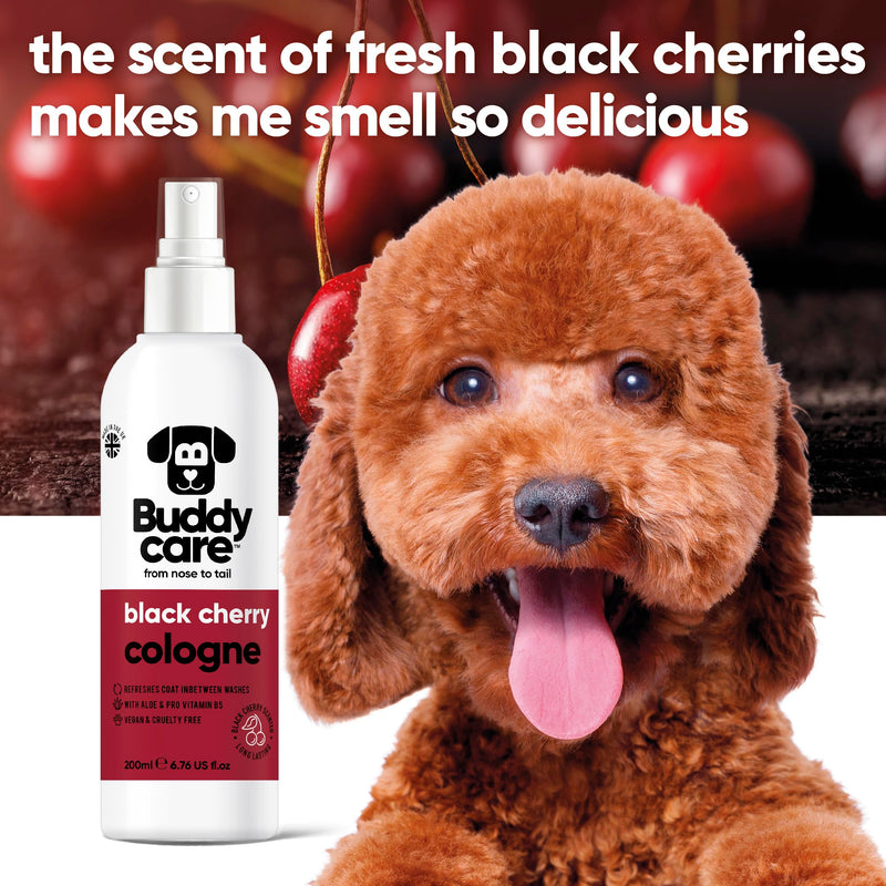 Dog Cologne - Black Cherry - 200ml - Fruity and Bold Scented Dog Cologne - Refreshes Between Dog Washes - PawsPlanet Australia