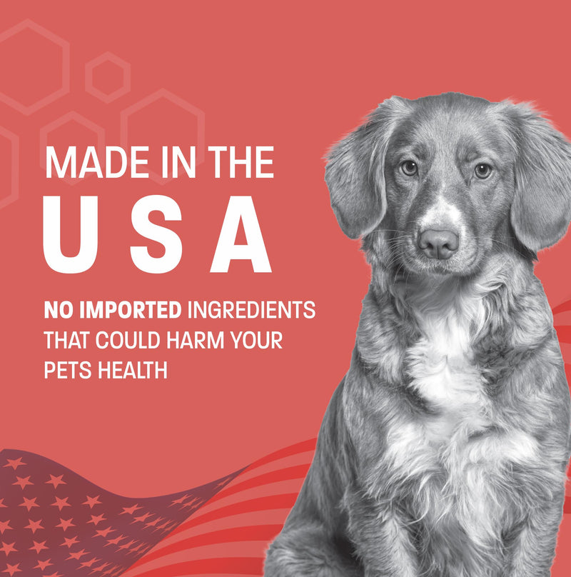 Scoot Stop-Pro Soft Chews for Dogs - Anal Gland Support - Dog Fiber for Dogs Pumpkin for Dogs Digestion - Supports Healthy Anal Sac - No Scoot Constipation Relief for Dogs - 120 ct