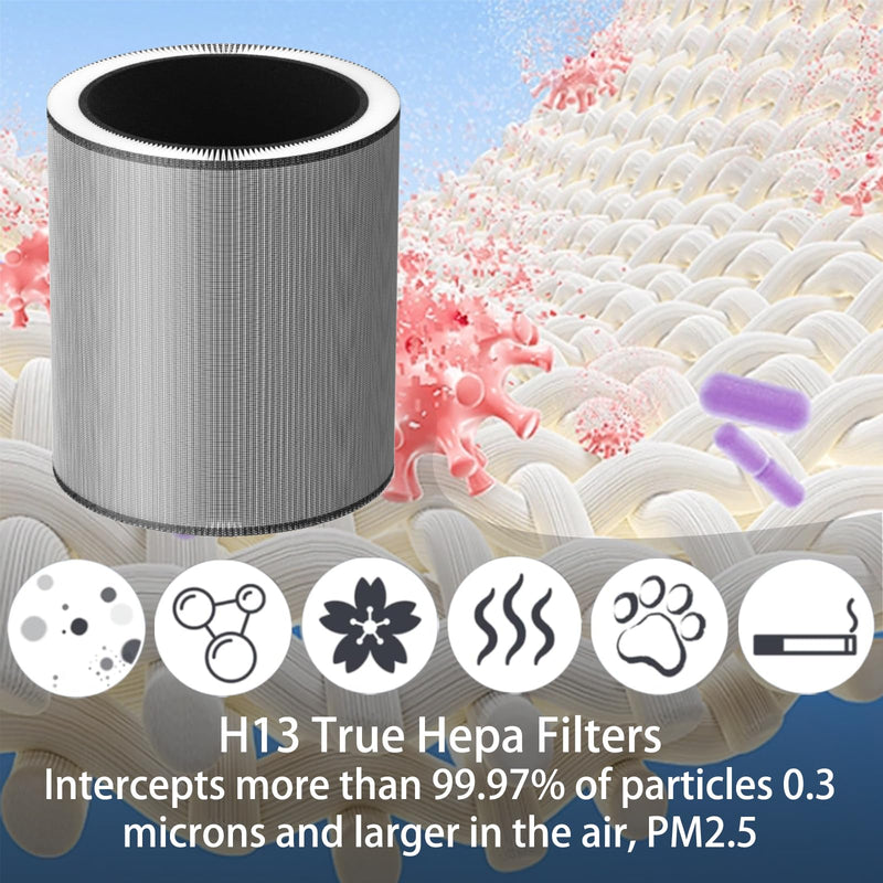 2 Pack C610 Replacement Filter Z for Winix C610 Air Purifier