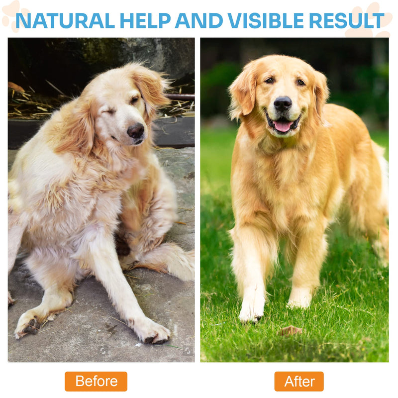 Omega 3 Fish Oil for Dogs, 1250mg High Natural Omega-3, DHA, EPA Fish Oil Supplements for Pets, Supports Dog Dry Skin, Itching & Shedding - Strengthen Immune, Heart, Hip & Joint Health - 60 Counts - PawsPlanet Australia