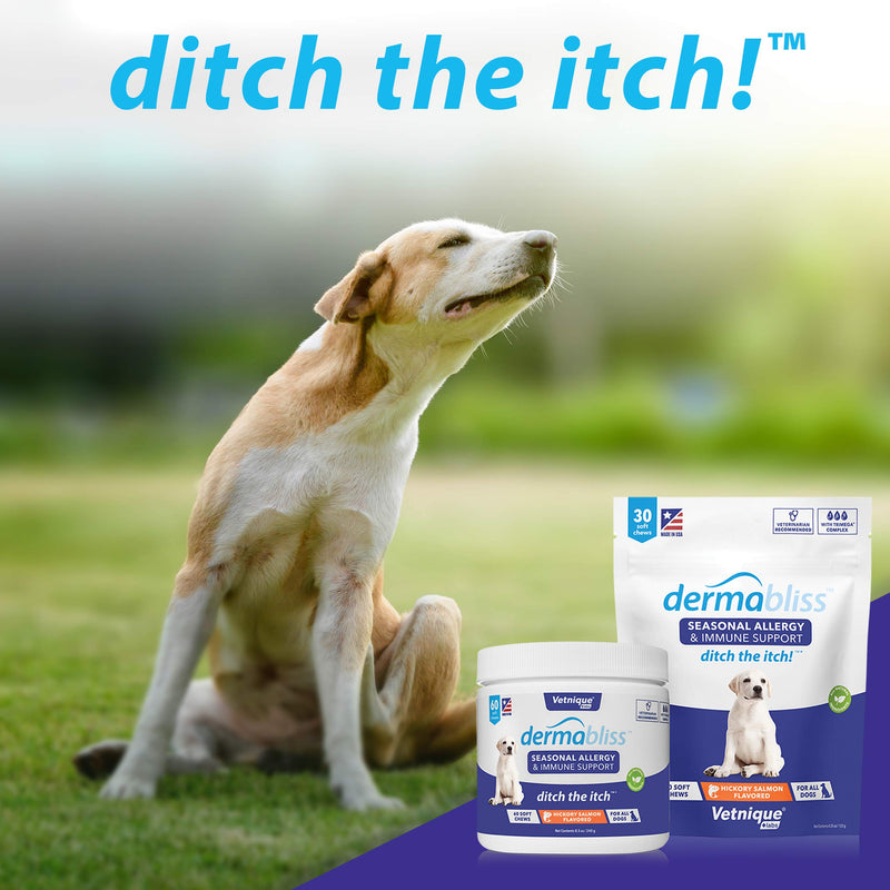 Dermabliss Allergy Chews 30ct and Glandex Anal Gland Support Chews 60ct Bundle Dog Vitamins & Supplements, Anal Gland Dog Treats with Probiotics, Dog Allergies Skin Treatment Soft Chew - PawsPlanet Australia