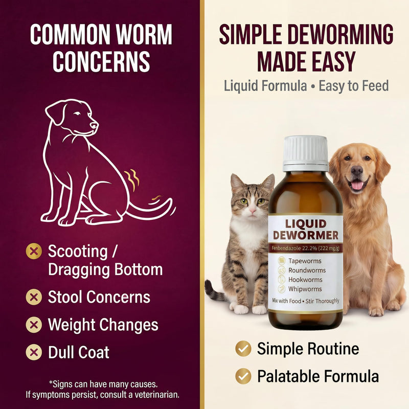 Liquid Dewormer for Cats and Dogs - Fenbendazole 22.2% - Targets Tapeworms, Roundworms, Hookworms & Whipworms - Broad Spectrum for Cat & Dog - 3.4 fl oz (100 mL) with Syringe