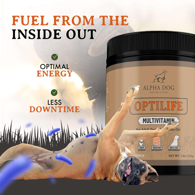 OptiLife Dog Multivitamin Powder - Adult Dog Multivitamin with Probiotics, Allergy Support, Joint Support, Skin & Coat Support - Dog Vitamins and Supplements - Multivitamin for Dogs (30 Servings) 30 Servings - PawsPlanet Australia